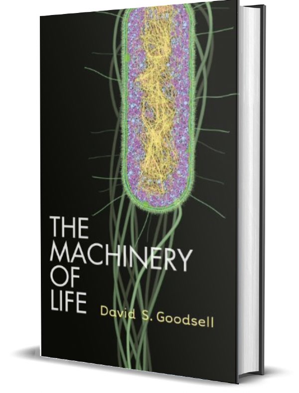 Revision Resource Goodsell Machinery of Life